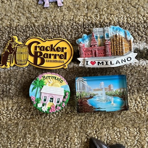 Assortment Magnus for the refrigerator - Picture 4 of 6